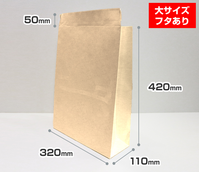 フタあり 宅配紙袋 大サイズ：茶色クラフトのメイン画像